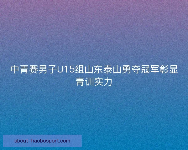 中青赛男子U15组山东泰山勇夺冠军彰显青训实力