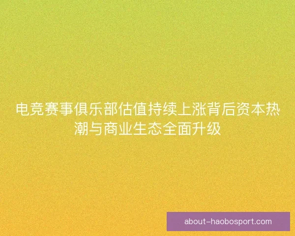 电竞赛事俱乐部估值持续上涨背后资本热潮与商业生态全面升级